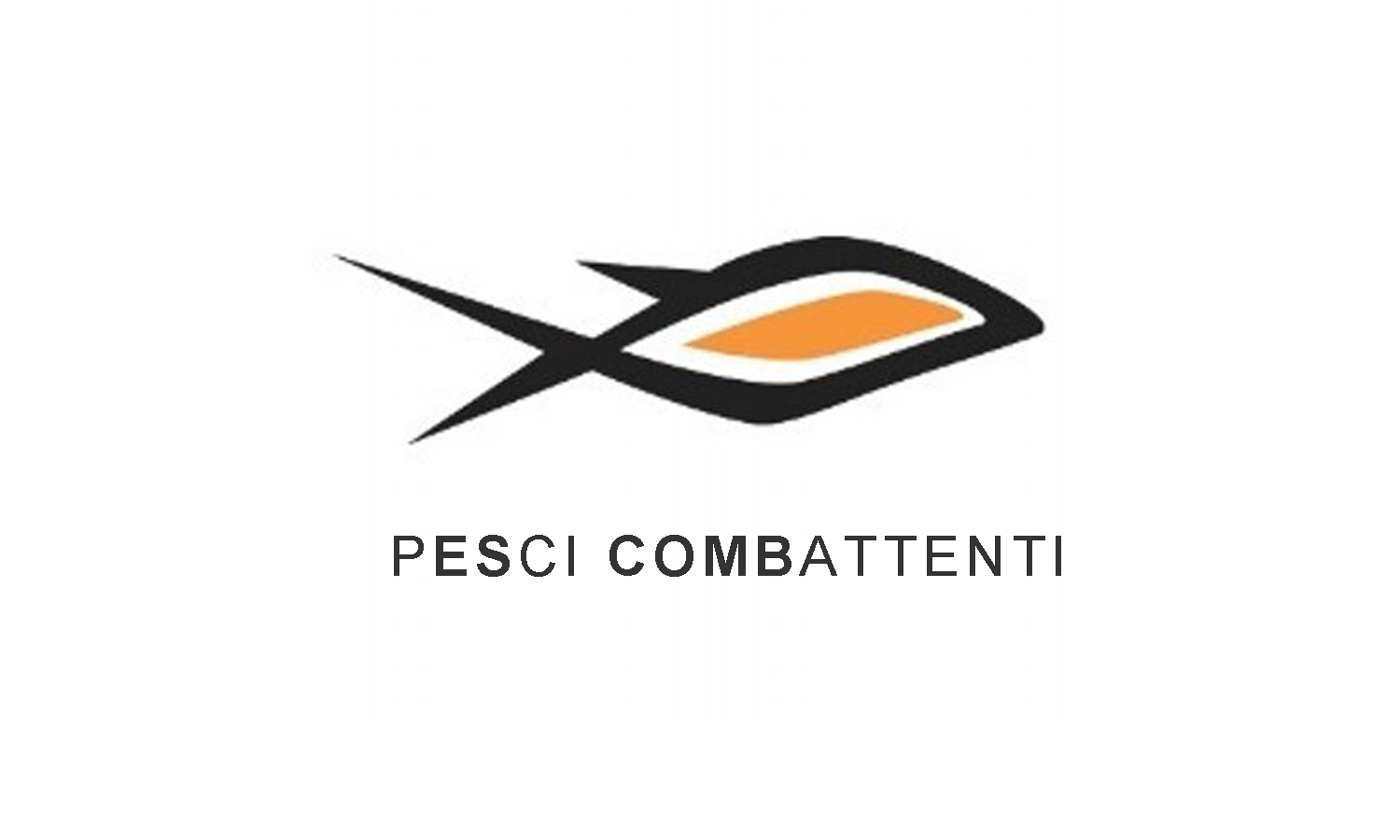 PESCI COMBATTENTI